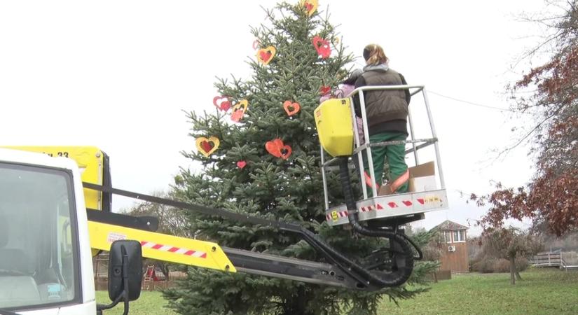 Ismét ragyog a karácsonyfa a Csónakázó-tónál – régi hagyomány éledt újjá