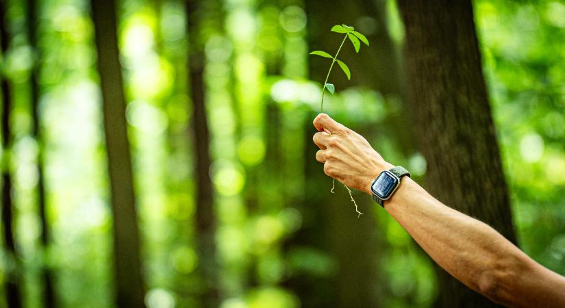 7 magyar régió 50 kiváló példa – a fenntartható magyar turizmus legjava