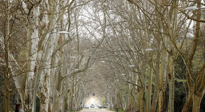 Lehet szükség lesz az esernyőkre, mutatjuk mire számíthatsz holnap!