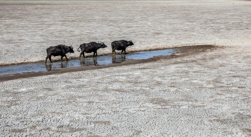 Négyezer milliárd dolláros kárt okozott eddig a klímaváltozás, és ez még csak a kezdet