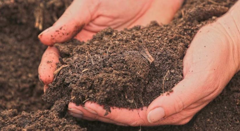 Ezért kulcsfontosságúak a talajkímélő művelési rendszerek