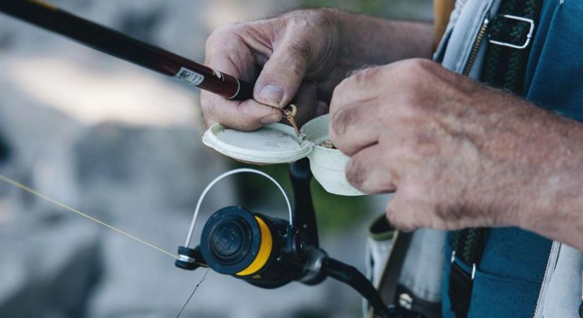 Harcsákat és pontyokat telepített a baranyai folyókba a megyei szövetség