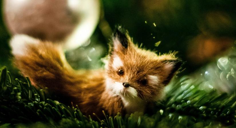 Lakberendezési tippek az ünnepi készülődés időszakára: így varázsolj természetes, mégis látványos hangulatot otthon