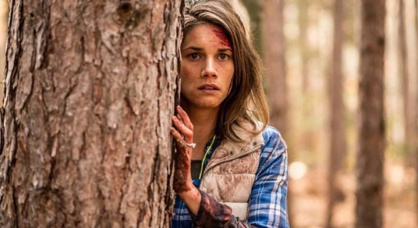 Backcountry: A medvék szép és nemes állatok, de nincs humorérzékük. Éjszakánként nem ücsörögnek a barlangjukban, kabátkában, whiskyt szürcsölgetve és szivarozva, ők akkor indulnak portyázni. (kritika)