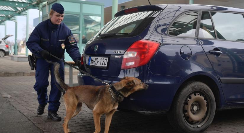 Elképesztő drogfogások Röszkénél, brutális számok bizonyítják a DELTA Program sikerét – galériával