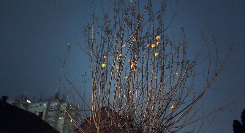 Semmi jó nem várható pénteken! A napot csak Szabolcsban látják...