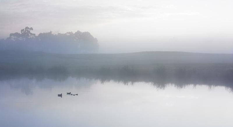 Országszerte köd várható, északon helyenként jegesedésre kell számítani