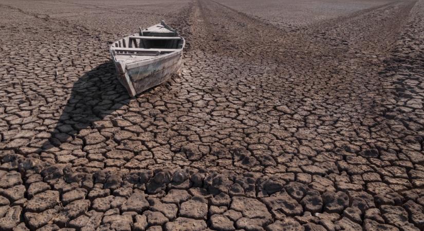 A közvélemény-kutatások diszkrét bája