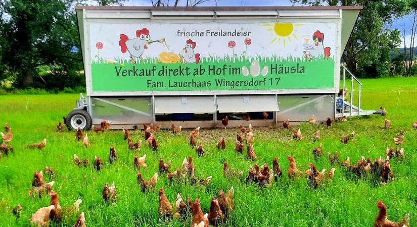 Mobil pajtával vészelni át a telet – így készítsük fel az állatokat és a terepet