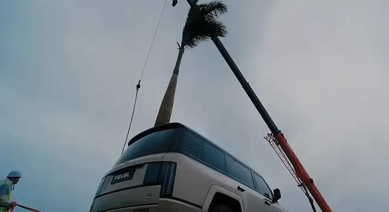 Kéttonnás fa zuhant a BYD autójára, mégsem tört össze