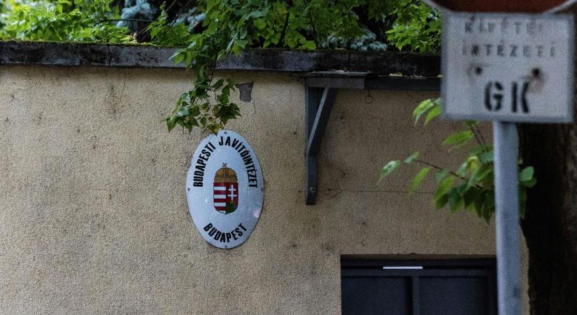 Magyar Péter szeretett volna bejutni a Szőlő utcai intézetbe, de a vezetőség bezárkózott és a telefont sem vették fel