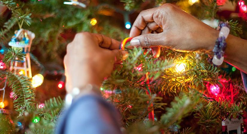 A karácsony illata: ezért választ sok család ilyen fenyőt