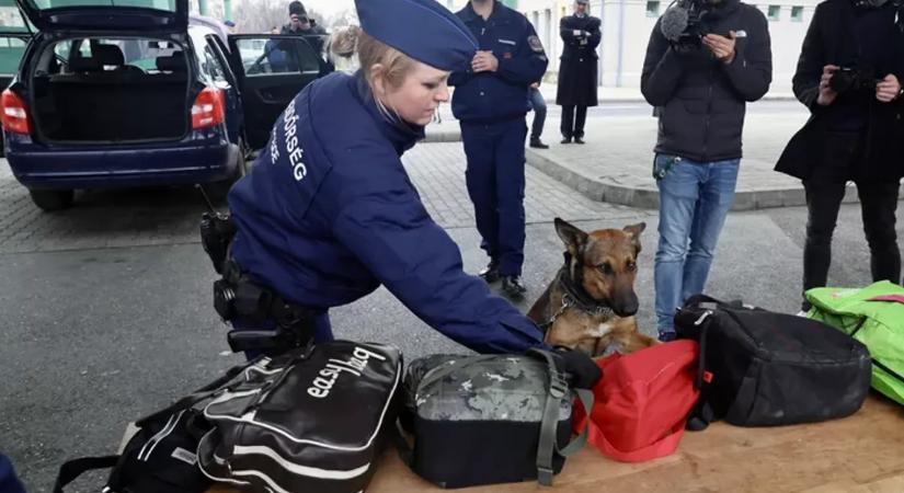 Így dolgoznak a drogkereső kutyák a határon, meglepő bemutatót tartottak Röszkén