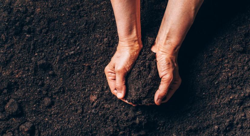 Sok gazda már így műveli a talajt: tudhatnak valamit?