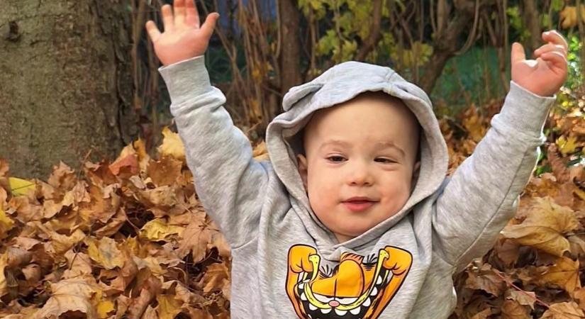 "Még a legnagyobb hősöknek is szükségük van olykor segítségre" - Bertold még csak 2 éves, agydaganattal harcol