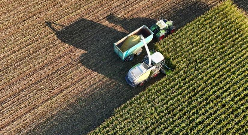 Most lehet állami földet vásárolni: már tart az árverés, előnyben a kezdő termelők – itt a lista a meghirdetett területekről