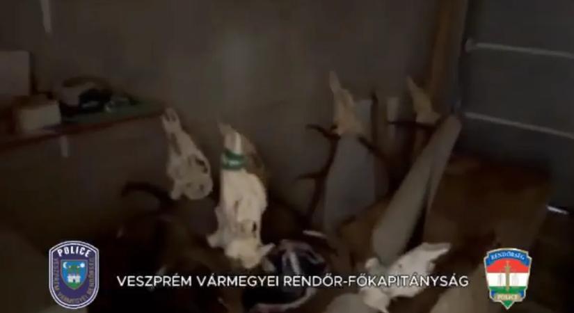 Ellopták a kilőtt vadat, mindezt illegális fegyverrel