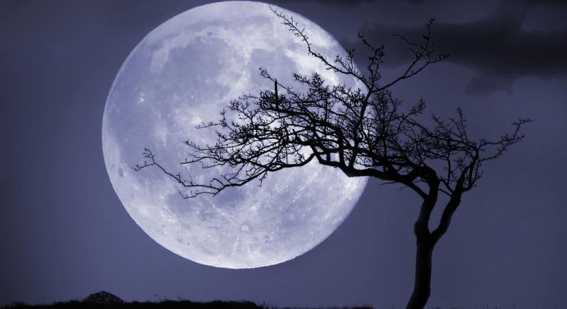 Napi horoszkóp 2025. 12. 05.: Teliholdas katarzis