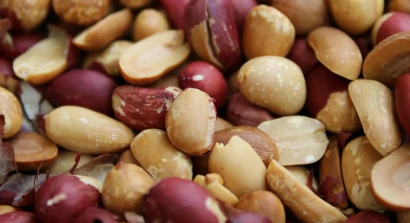 Meglepő felfedezés: kiderült, mit tesz az agyunkkal a mogyoró