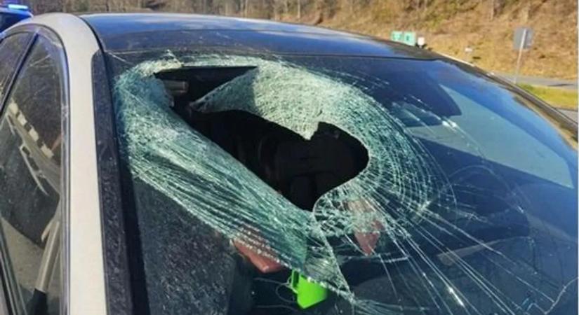 Olyan hihetetlen baleset történt egy autóssal, hogy bejelenteni is alig merte - fotó