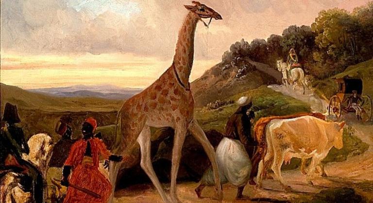 Az év, amikor Párizs tele lett zsiráfnőkkel