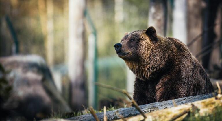 A Strategy már készül a medvepiacra: 1,44 milliárd dolláros tartalékot hoztak létre