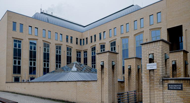 Sokan magukra maradtak a szülés után, most végre van hová fordulniuk a magyar anyáknak