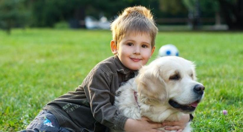 A Balatonnál is jön az ebadó