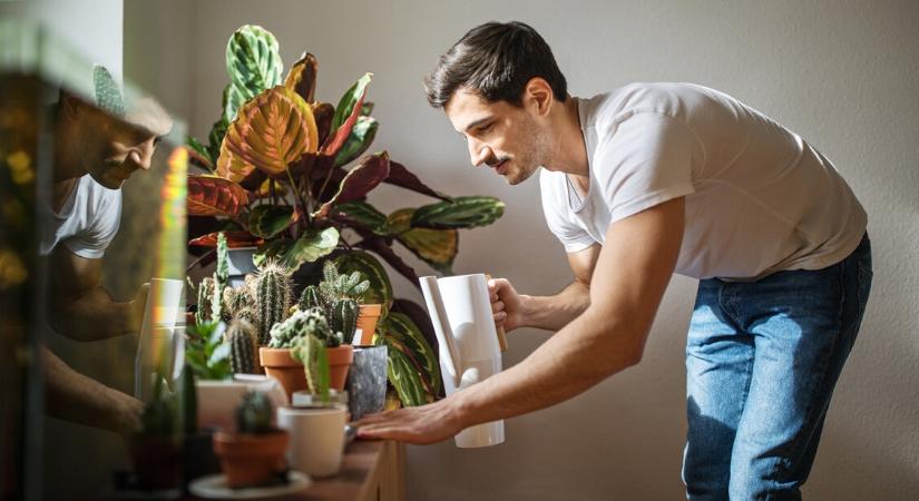 Vegyszerek helyett a természet ereje: a leghatékonyabb házi növényvédők