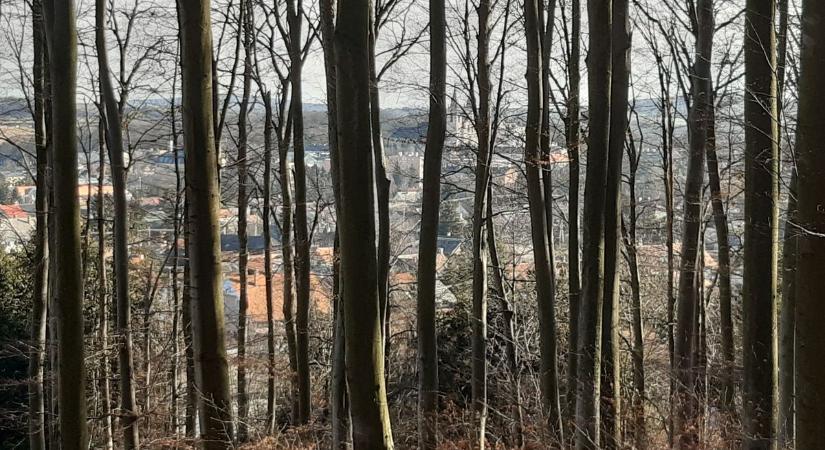 Életveszélyessé vált a turisták és a helyiek kedvenc helye, a bakonyi parkerdő ( térkép, videó)