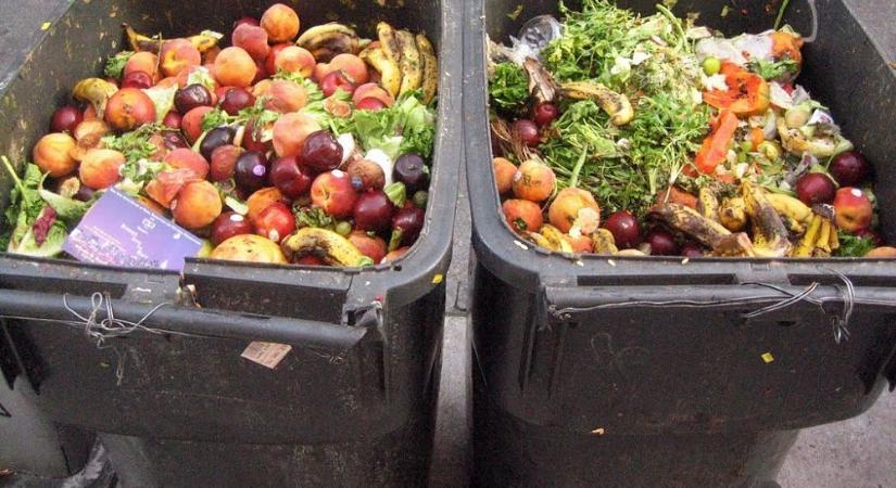 Mobil alkalmazással csökkentenék az élelmiszerpazarlást Hargita megyében