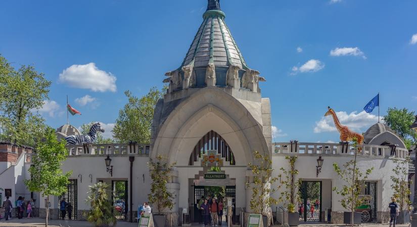 Megszökött egy állat a Fővárosi Állatkertből, itt látták legutóbb Budapesten