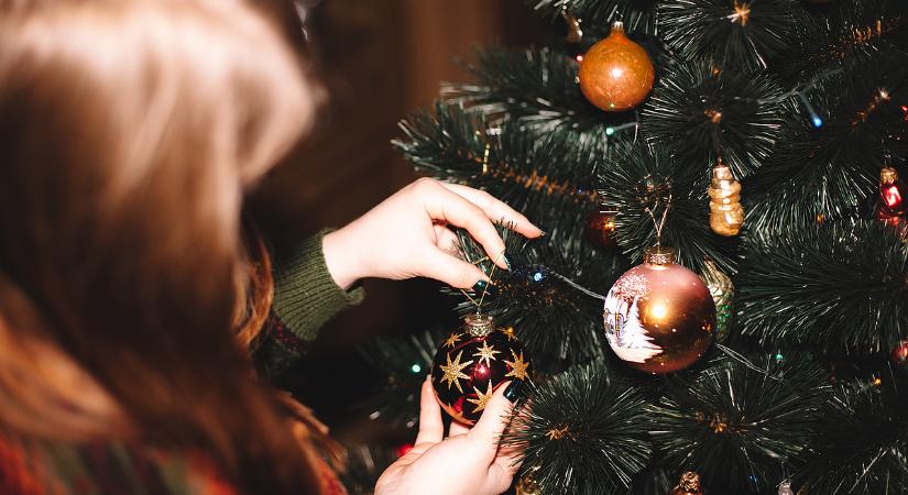 Ilyen karácsonyfát vesznek a sporólosok és a környezettudatosak