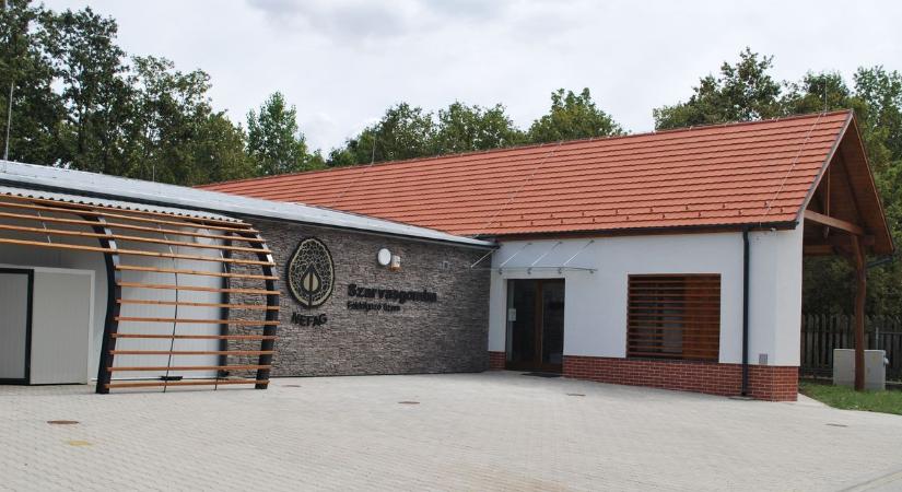 Kulisszák mögött – Szarvasgomba, Forest Kitchen, szarvasgomba-feldolgozás