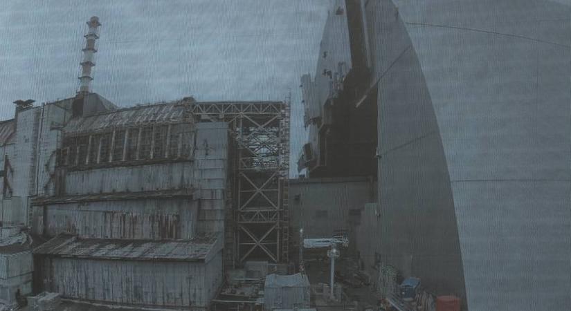 A csernobili sugárzás táplálja ezt az élőlényt: ami mással végez, számára az hasznos