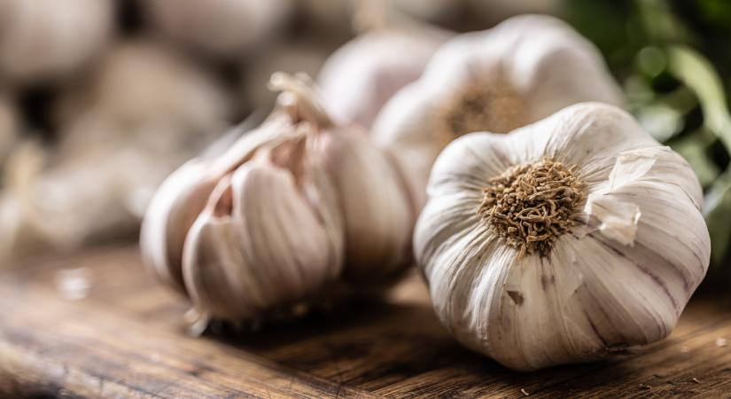 Ömlik az import fokhagyma Európába: nem hinnéd, honnan jön a java