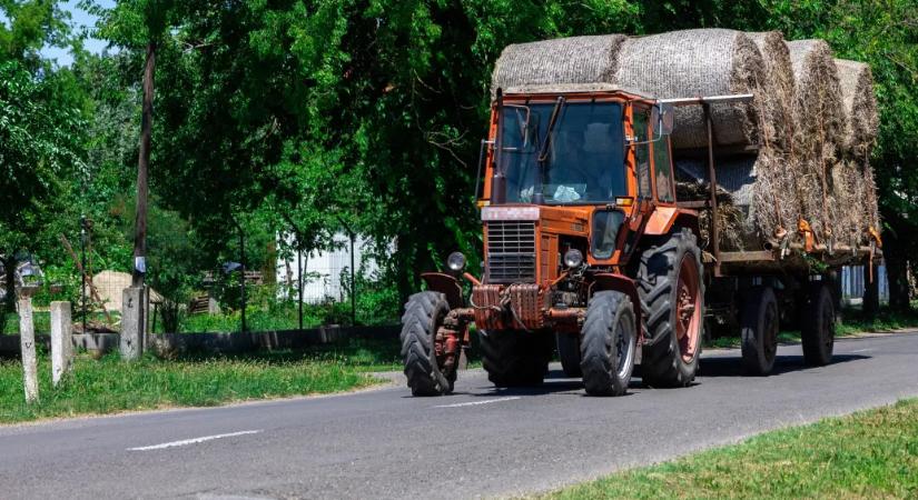 Kevesebbet termelt idén a magyar mezőgazdaság, de azt drágábban