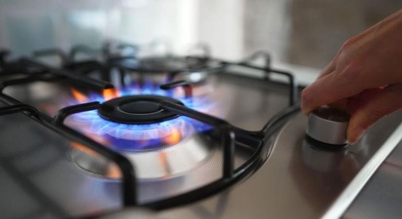 Gáz vagy elektromos tűzhely? Így döntenek a háztartások