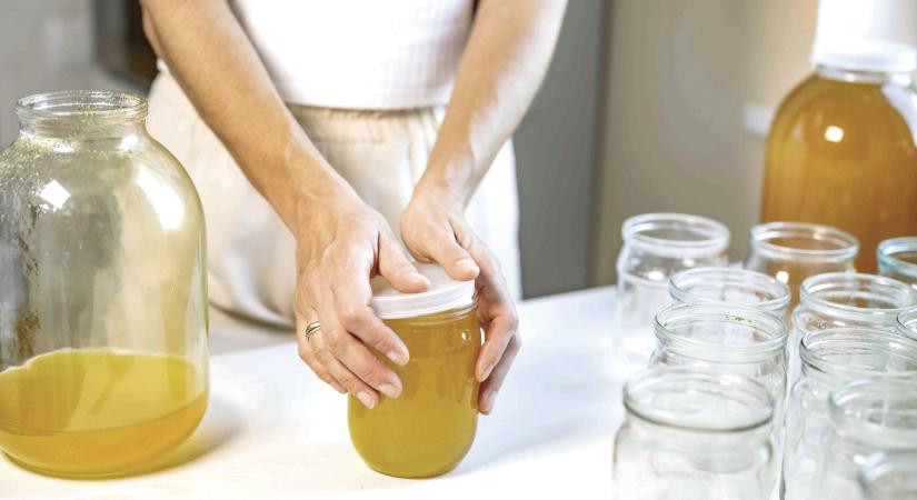 Kovász- és kombuchamegosztó kampányt indít a Felelős Gasztrohős Alapítvány