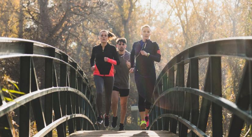 Félmilliárdos lakossági sportprogram indul Baranyában