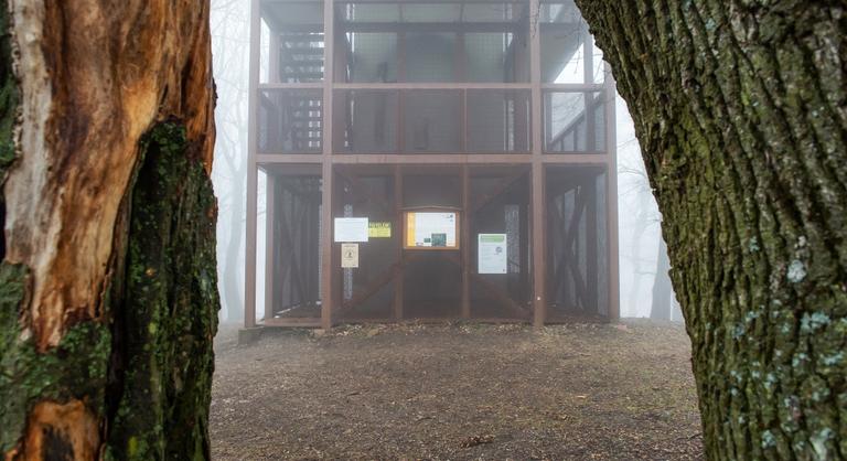 Furcsa verseny, de a Mecsek megverte a Zemplént, sőt még a Börzsönyt is