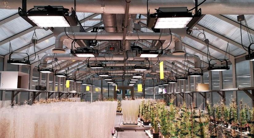 Brutális energiamegtakarítást hoz a magyar LED-rendszer – a kutatók sem hittek a szemüknek