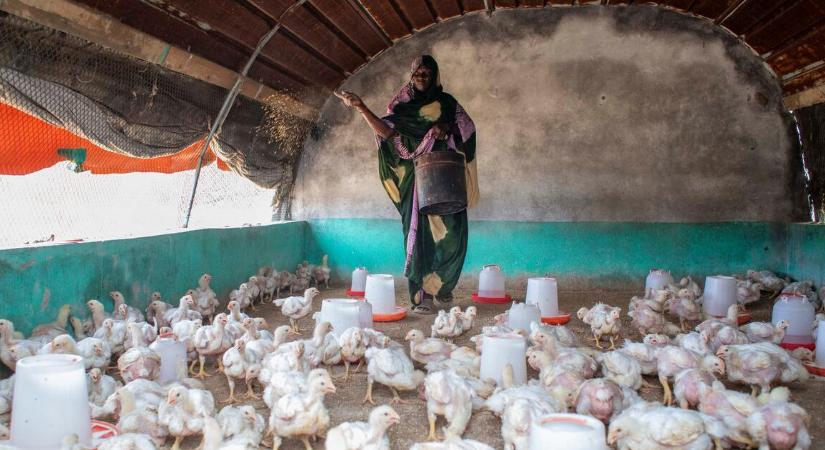 Lejtmenetben az élelmiszerárak