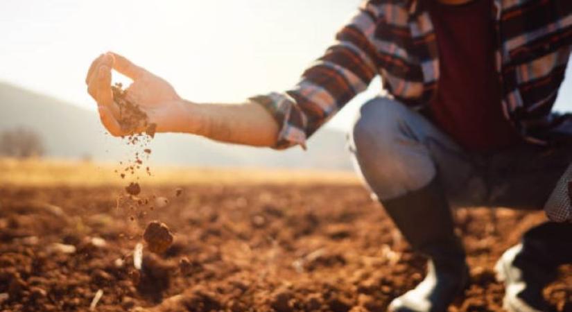 Ezért van bajban a mezőgazdaság!