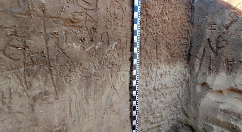 Itt a talaj világnapja, be is mutatták 2025 talajszelvényét