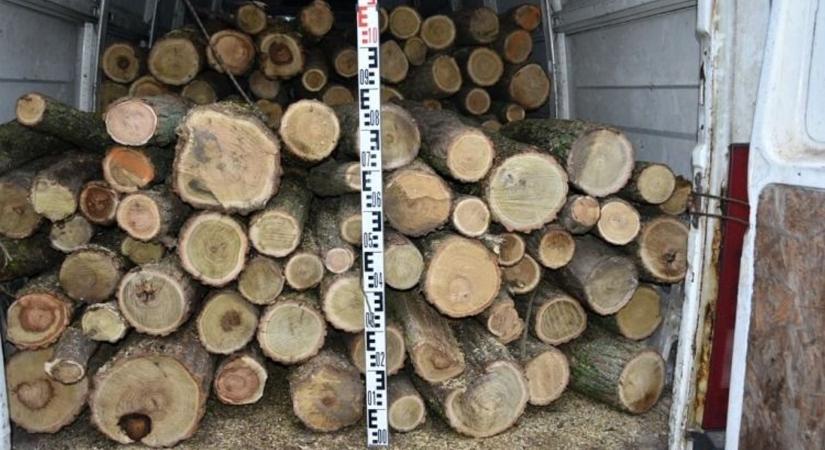 Tűzifacsalók garázdálkodnak Vas vármegyében - alaposan átverték a helyi fétfit