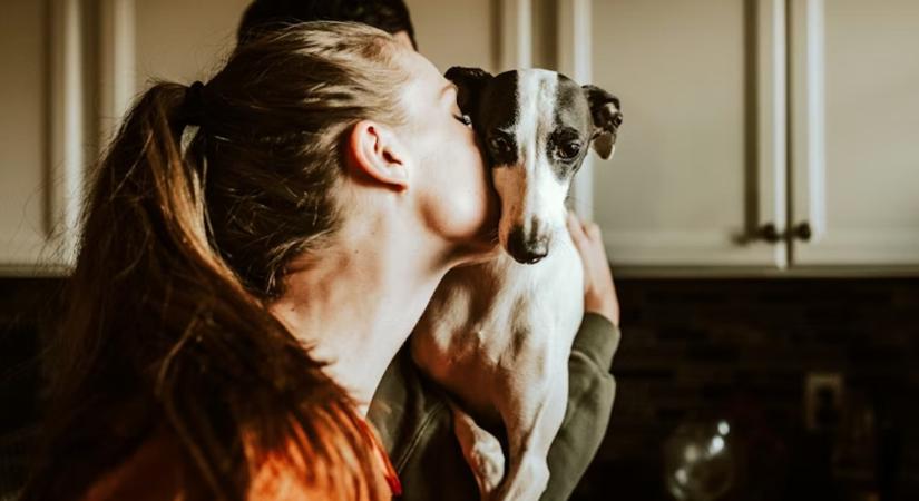 Mennyibe kerül ma egy háziállat? – a rejtett kiadások, amelyekkel senki sem számol