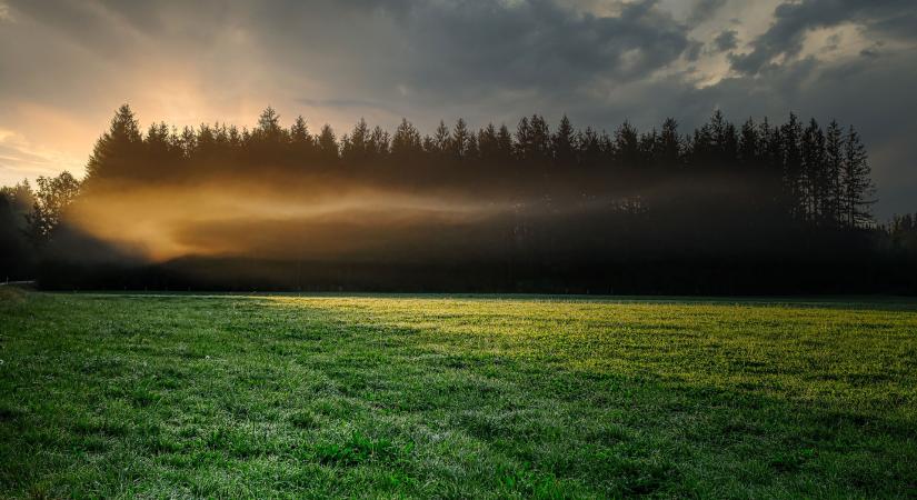 Átadták a gyepek titkai fotópályázat díjait