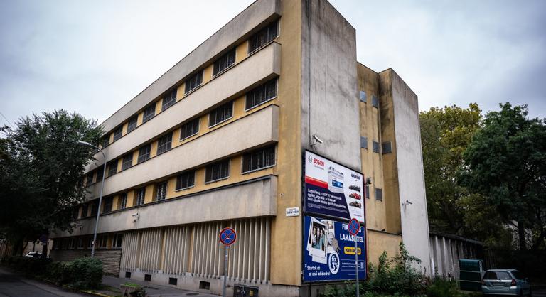 Szőlő utca: a DK elnöke szerint felmondtak a pedofil igazgató bizalmasának