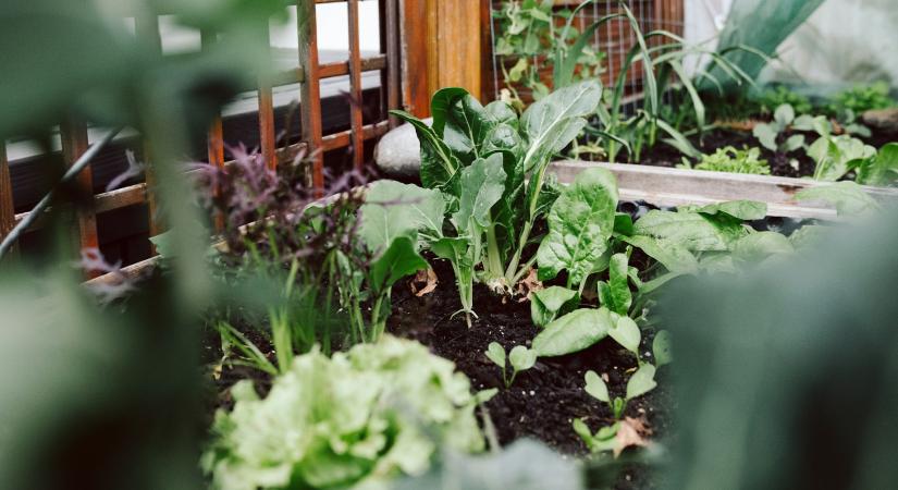 Így óvja meg a kerti ágyásokat a tél fagyoktól
